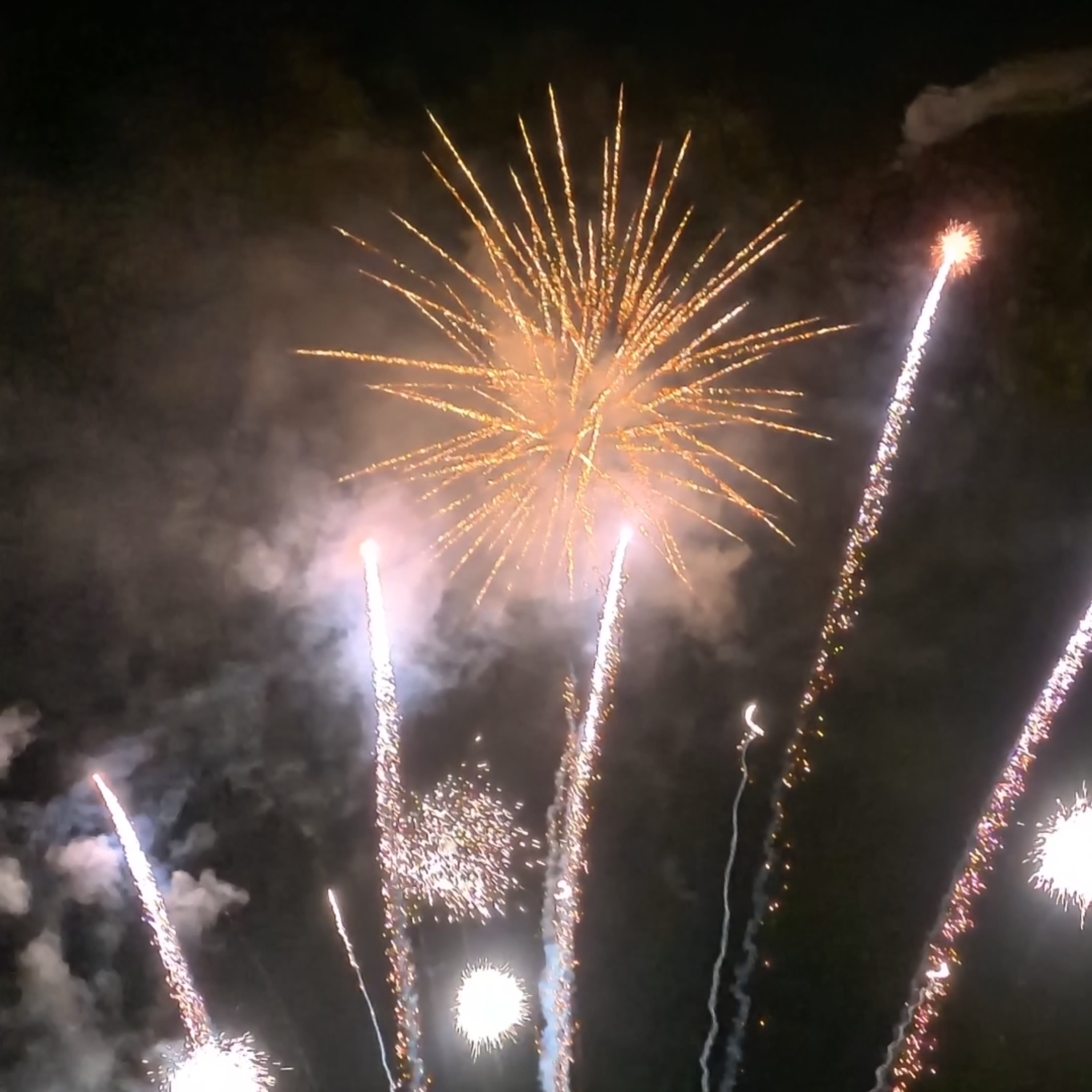 Snapshot 22-08-2025 1907