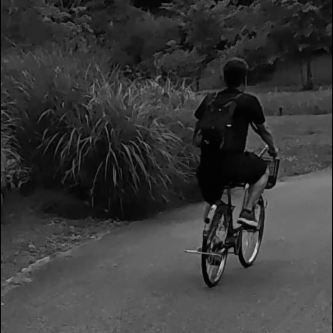 Snapshot 22-08-2025 1904